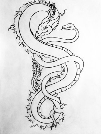 Эскиз дракона и змеи
