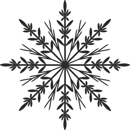 Черная Снежинка