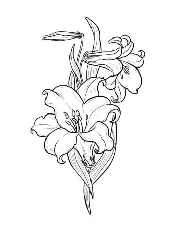 Тату лилии эскизы