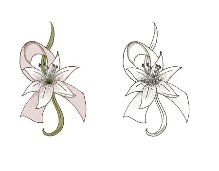 Тигровая Лилия Чонгук