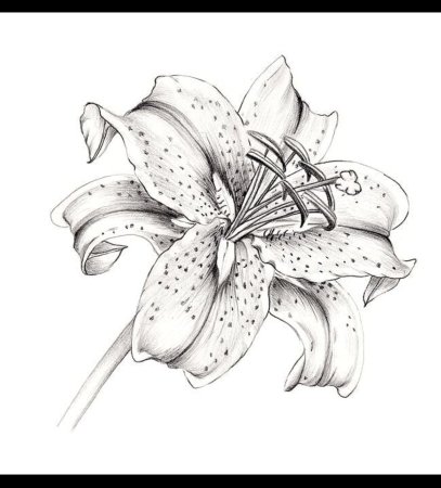 Красивые эскизы тату для девушек