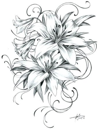 Орнамент из лилий