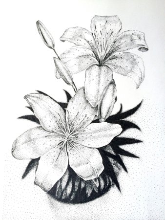 Красивые цветы эскиз