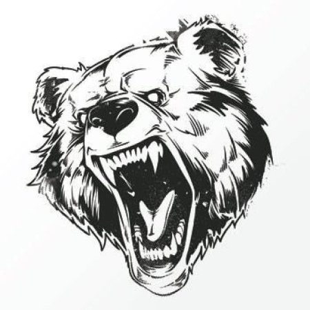 Оскал медведя тату эскиз