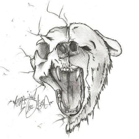 Медведь тату эскиз