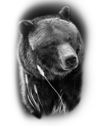 Медведь тату эскиз