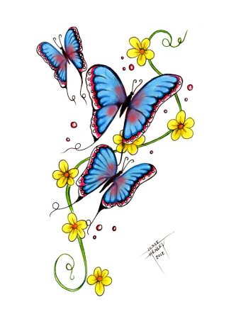 Красивая бабочка рисунок