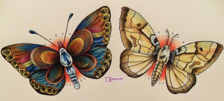 Бабочка эскиз цветной