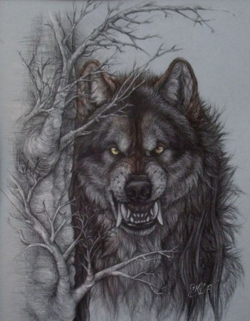 Оскал волка эскиз