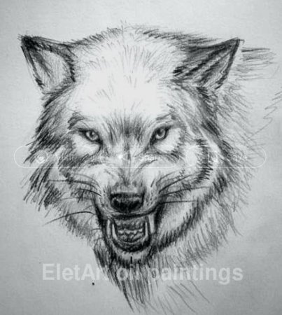 Волчий оскал эскиз
