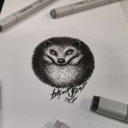 Эскиз тату ежа