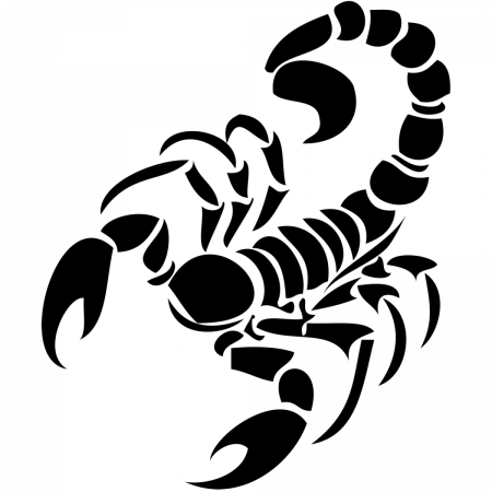 Скорпион рисунок