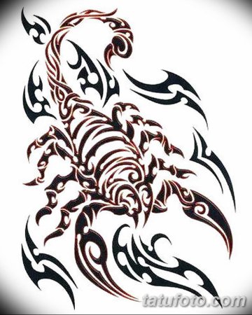 Тату Скорпион трайбл эскиз