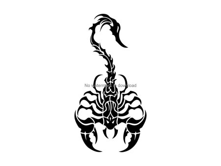 Тату Скорпион для девушек эскизы