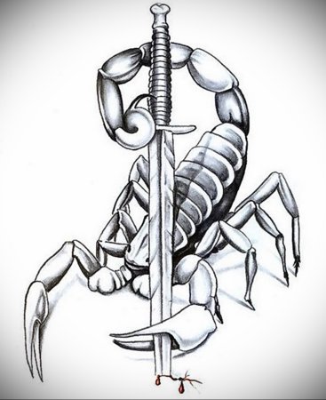 Скорпион карандашом