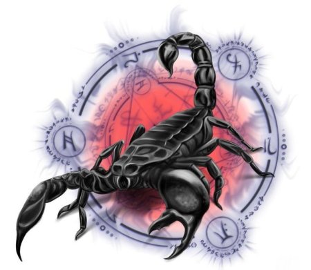 Тату со знаком зодиака Скорпион для мужчин