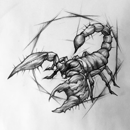 Скетч тату Скорпион