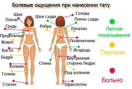 Самые больные места для татуировок