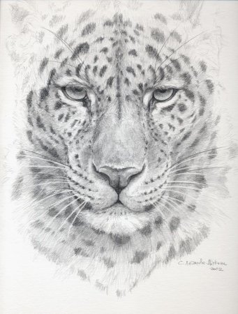 Тату снежный Барс эскизы