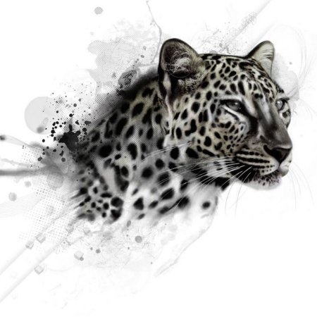 Тату леопарда на белом фоне