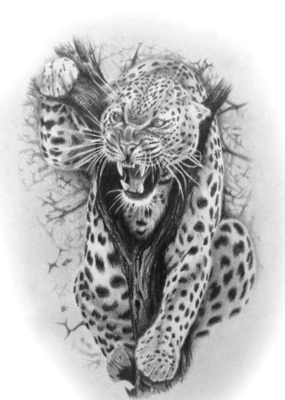 Леопард набросок