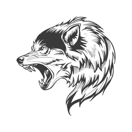 Волк рисунок Графика