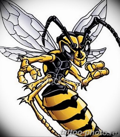 Шмель пчела Оса Шершень