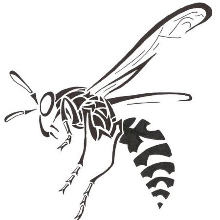 Стилизация насекомых