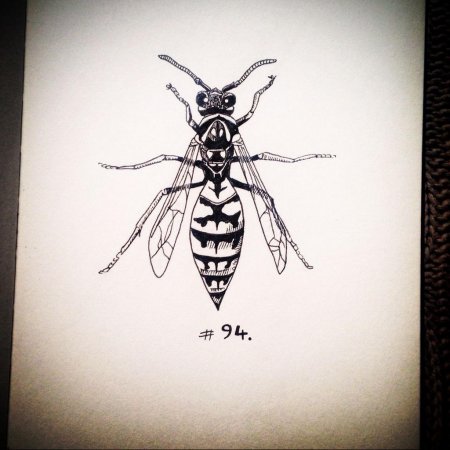 Стилизация насекомых в графике