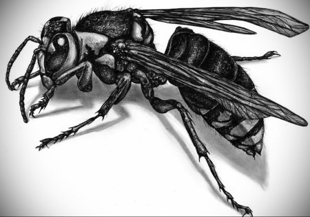 Тату пчела эскиз