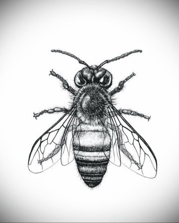 Пчела стилизация