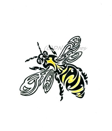 Зарисовка осы