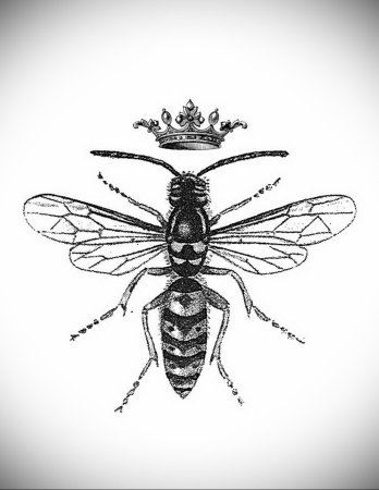 Пчела Графика