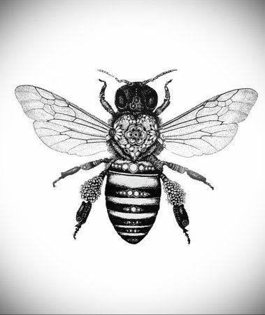 Пчела Графика