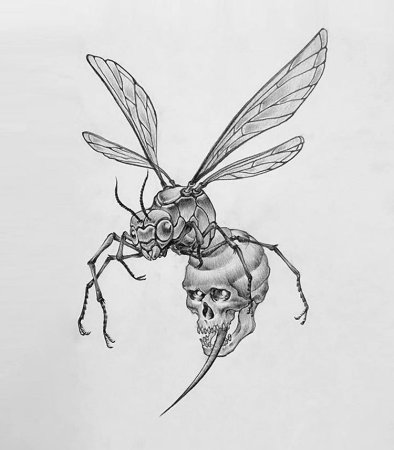 Оса эскиз