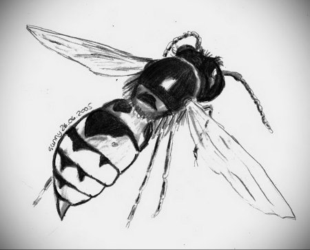 Татуировка Оса