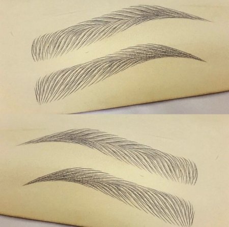 Схема волосков бровей волосковая техника