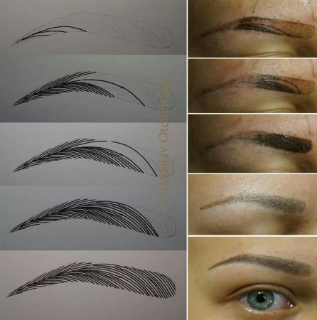 Формы бровей для перманентного макияжа