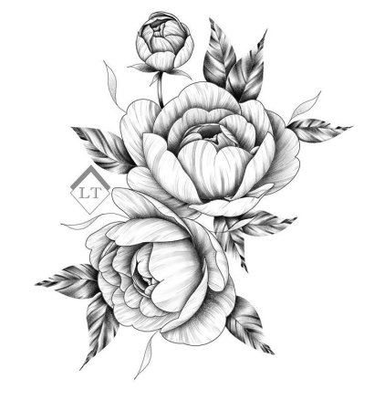 Пионы эскиз