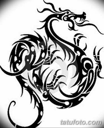 Трайбл китайский дракон