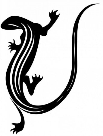 Саламандра трайбл