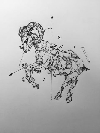 Созвездие овна эскиз