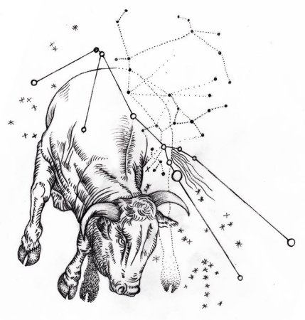 Созвездие Телец тату