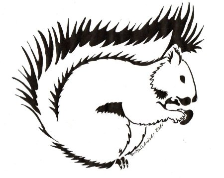 Тату белка черно белая