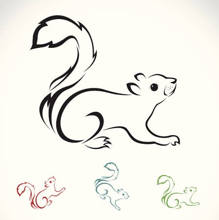 Белка тату эскиз маленькая