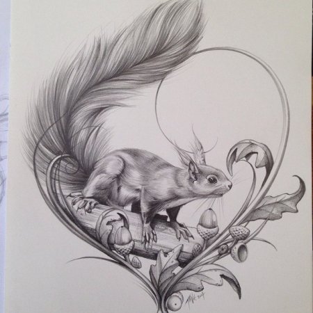 Эскиз белки тату