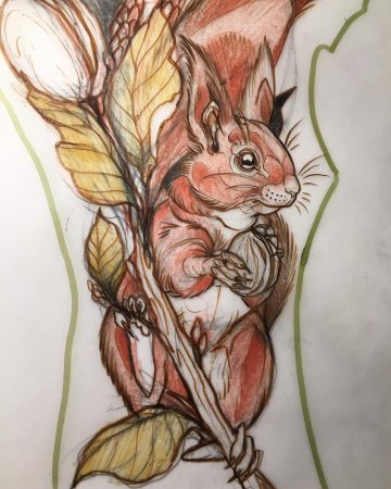 Тату белка