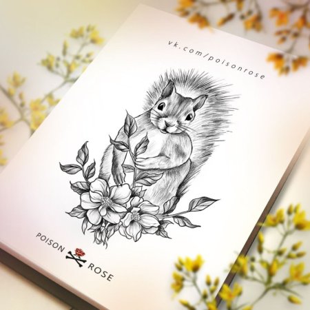 Эскизы тату белок