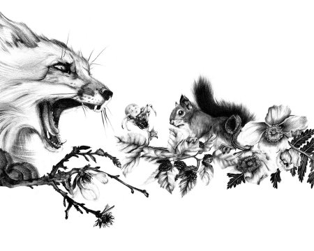 Эскиз белки тату