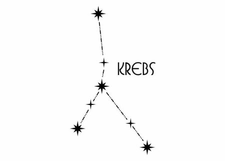 Созвездие и знак зодиака тату эскиз